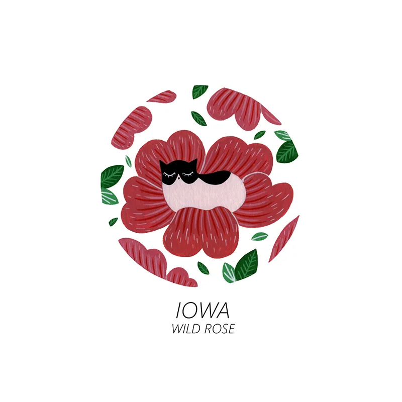 iowa_web.jpg