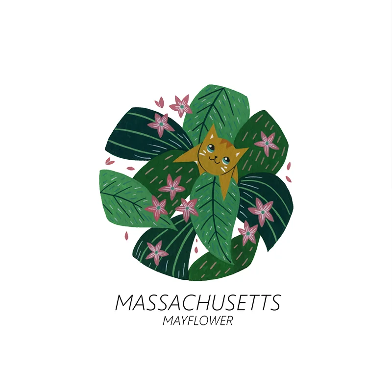 massachusetts_web.jpg
