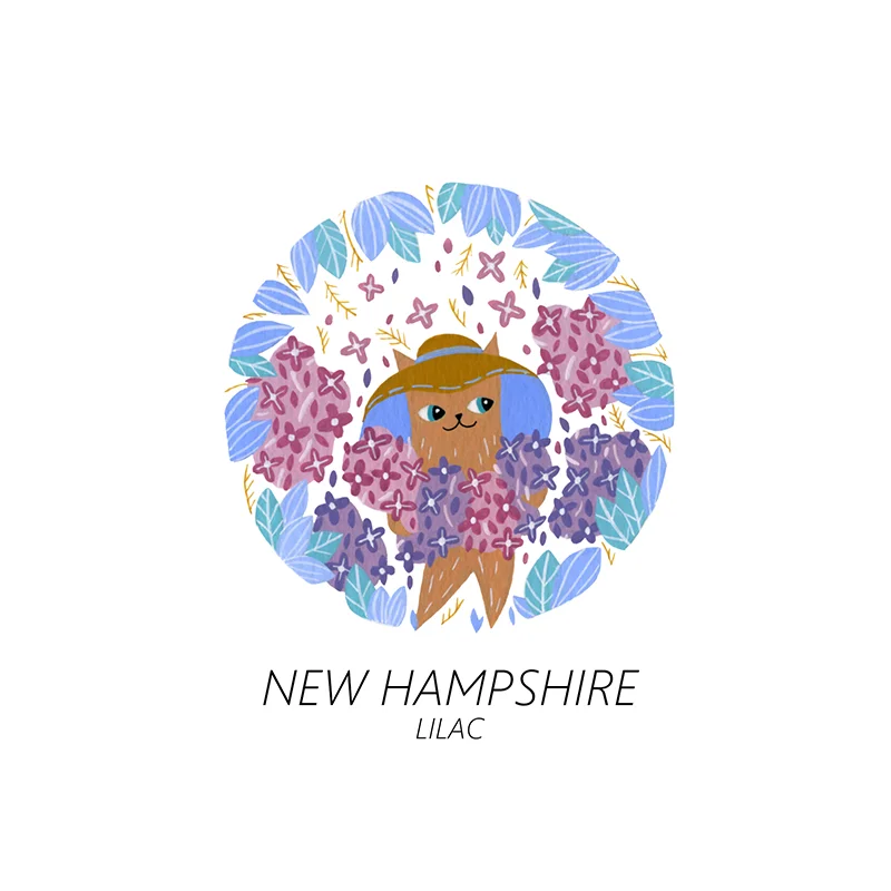 newhampshire_web.jpg