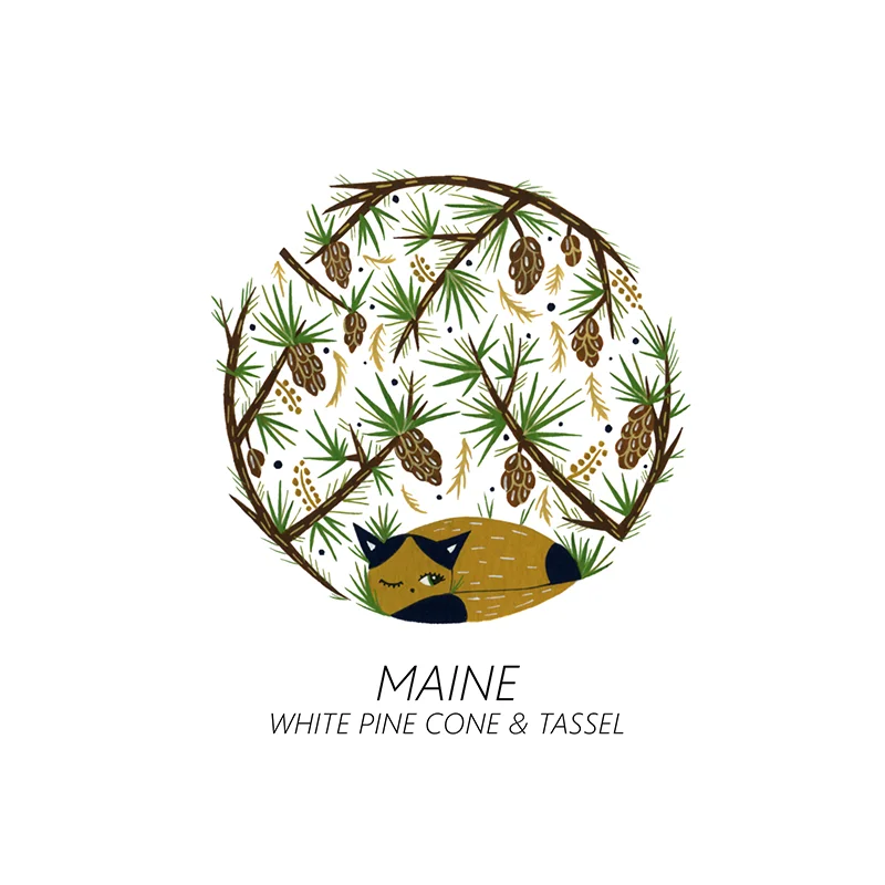 maine_web.jpg
