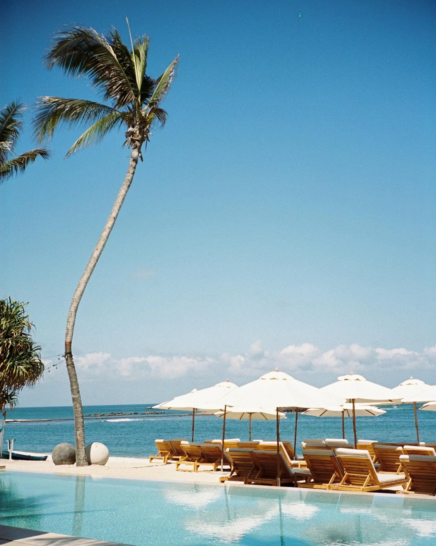 I&rsquo;m beyond excited to announce I have signed @withstills for the licensing of my non-wedding work.

If you're a designer, go follow them and request an invite. When they launch it will be invite only and It's going to be phenomenal resource tha