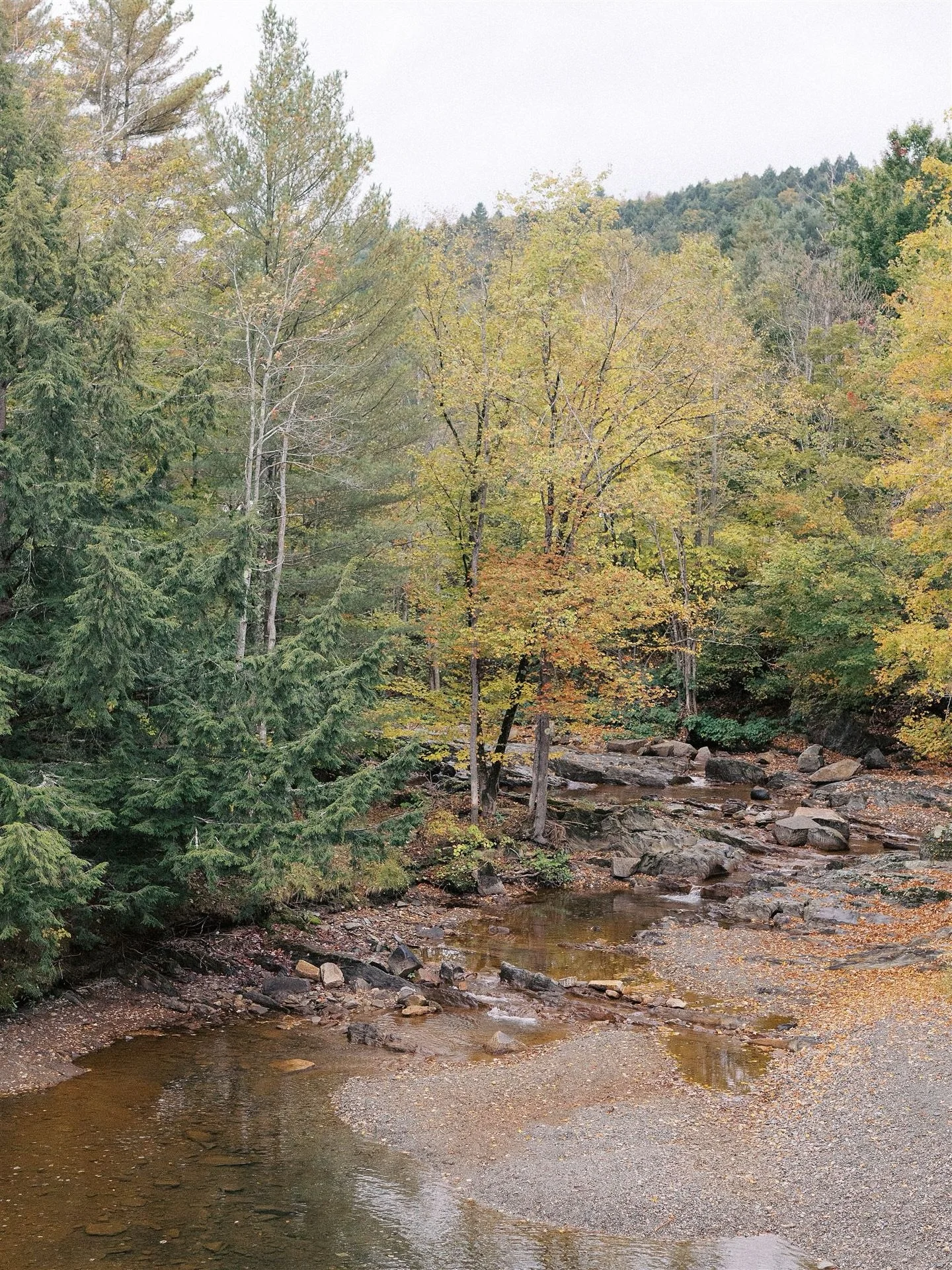 Vermont bound to celebrate C x N this weekend - what a gift this celebration is going to be to document! @pop_parties