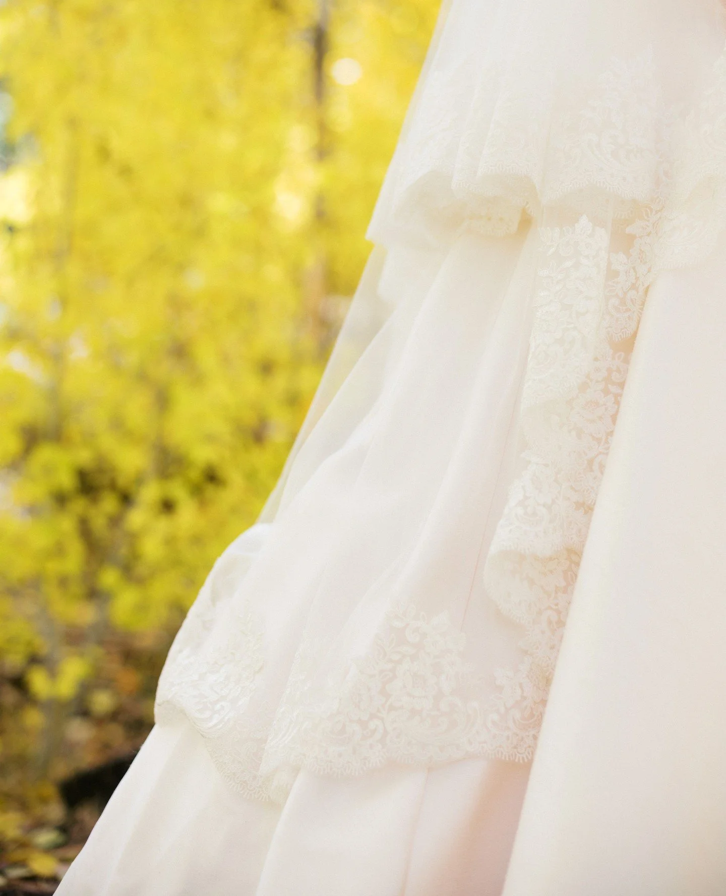 Forever inspired by the collision of the natural world x personal touches on a wedding day!