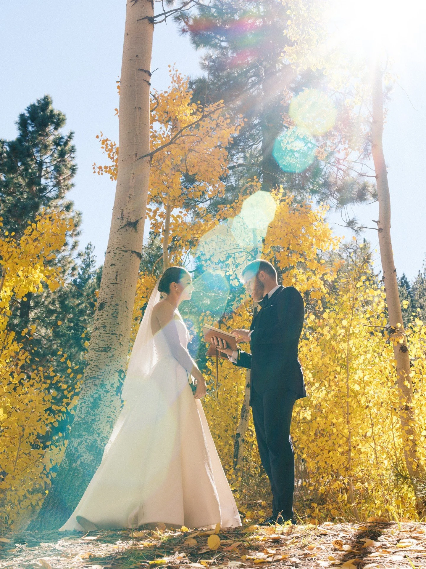 The gown held the canopy's light. Some collaborations can't be⁠ planned!