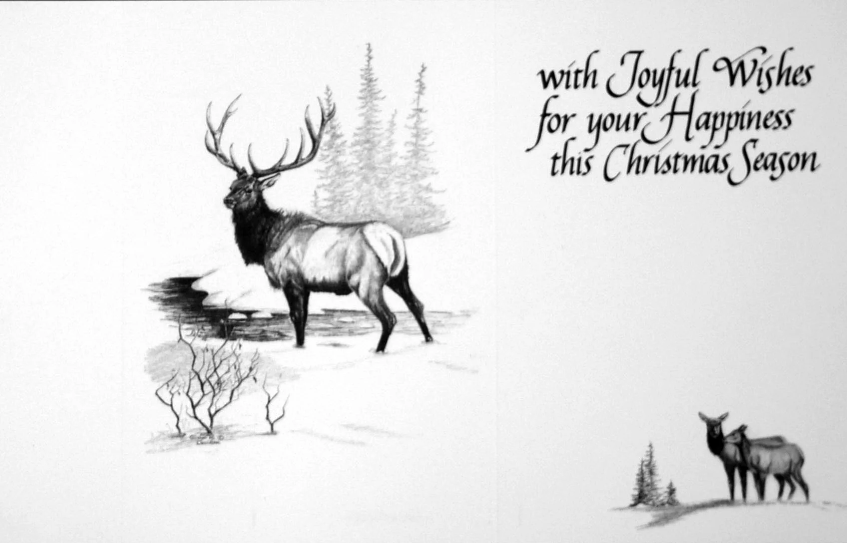 "with Joyful Wishes for your Happiness this Christmas Season" ( Bull Elk )