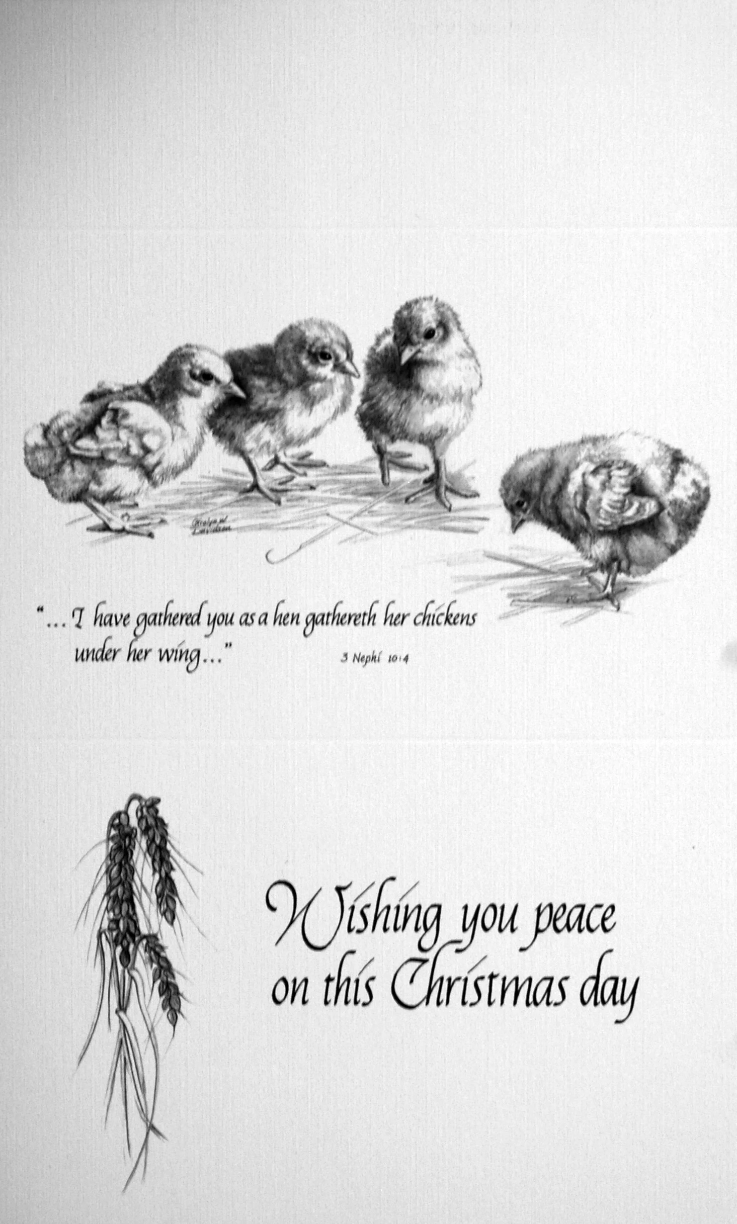 "...I have gathered you as a hen gathereth her chickens under her wing.." -3 Nephi 10:4- "Wishing you peace on this Christmas day" ( Chicks)