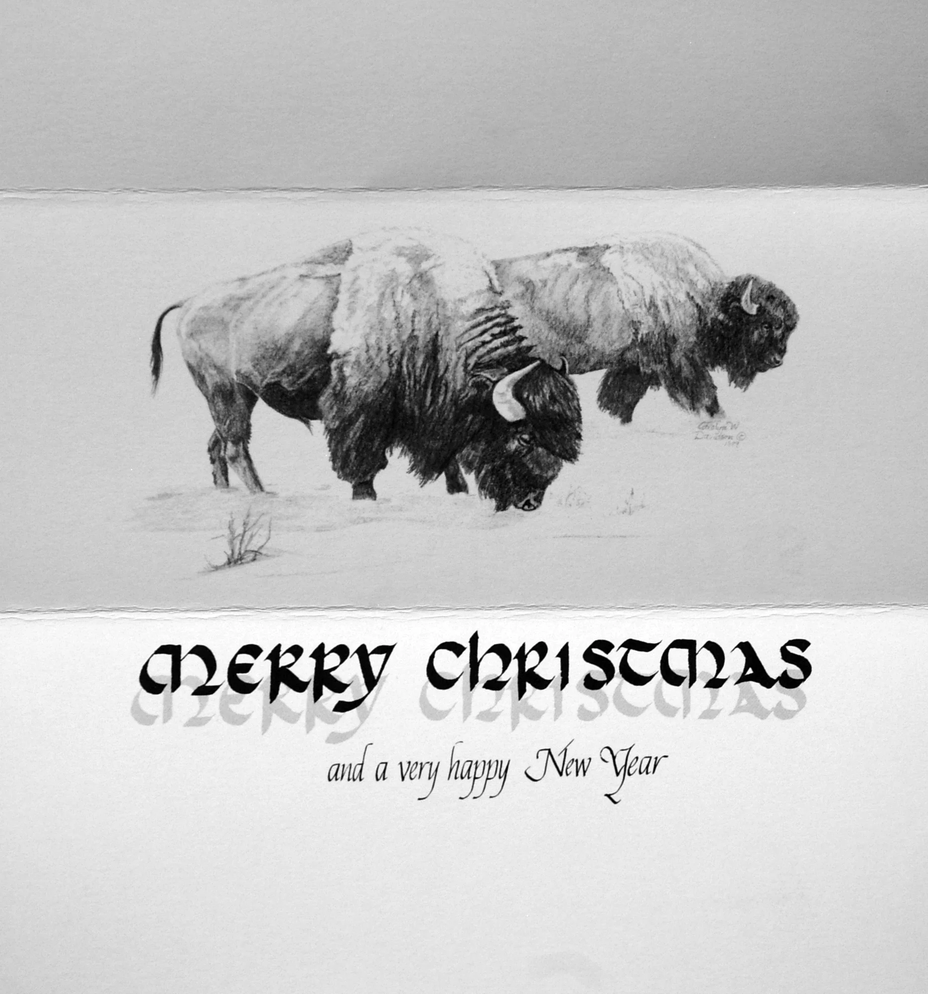 "Merry Christmas and a very happy New Year" (Buffalo)