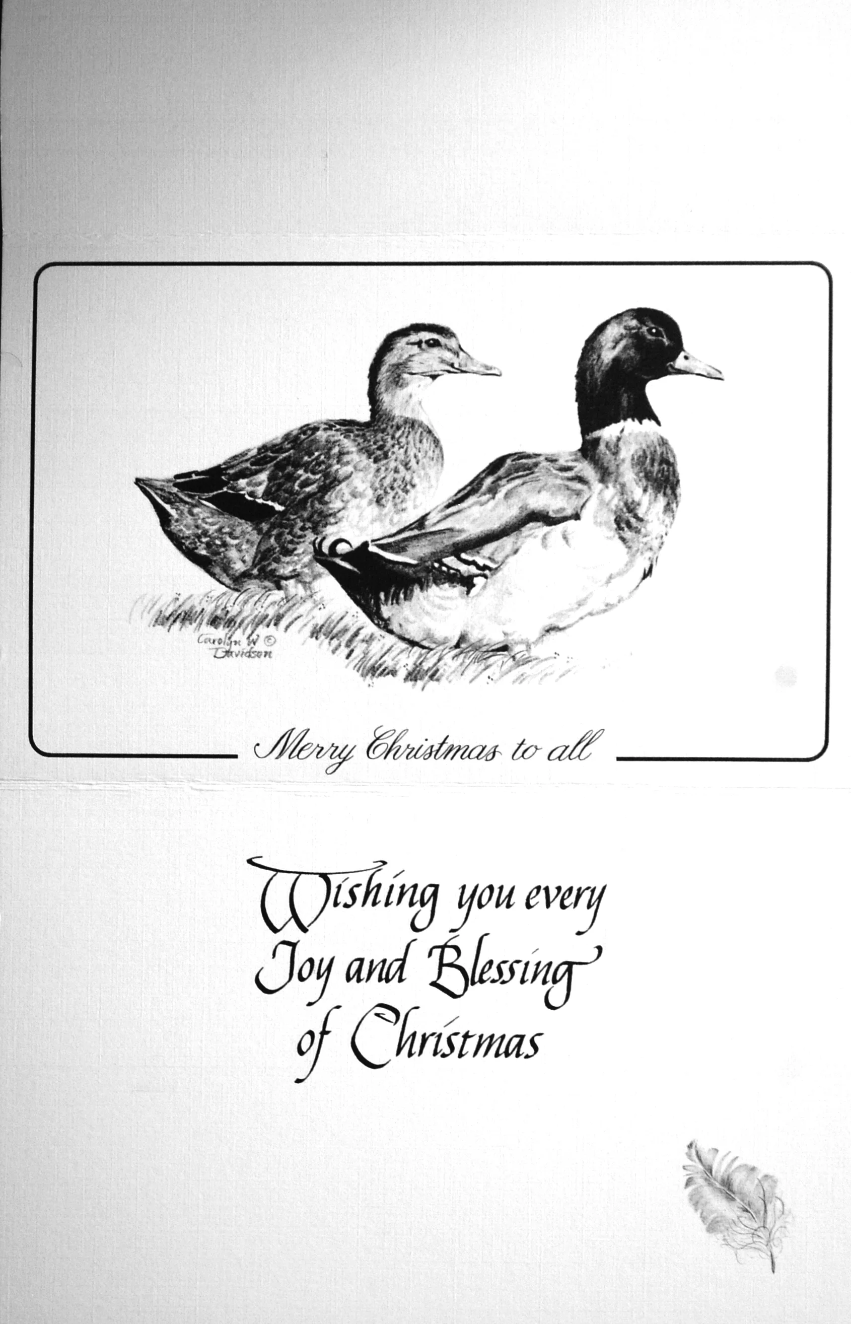 "Merry Christmas to all" "Wishing you every Joy and Blessing of Christmas" (Mallard Ducks)