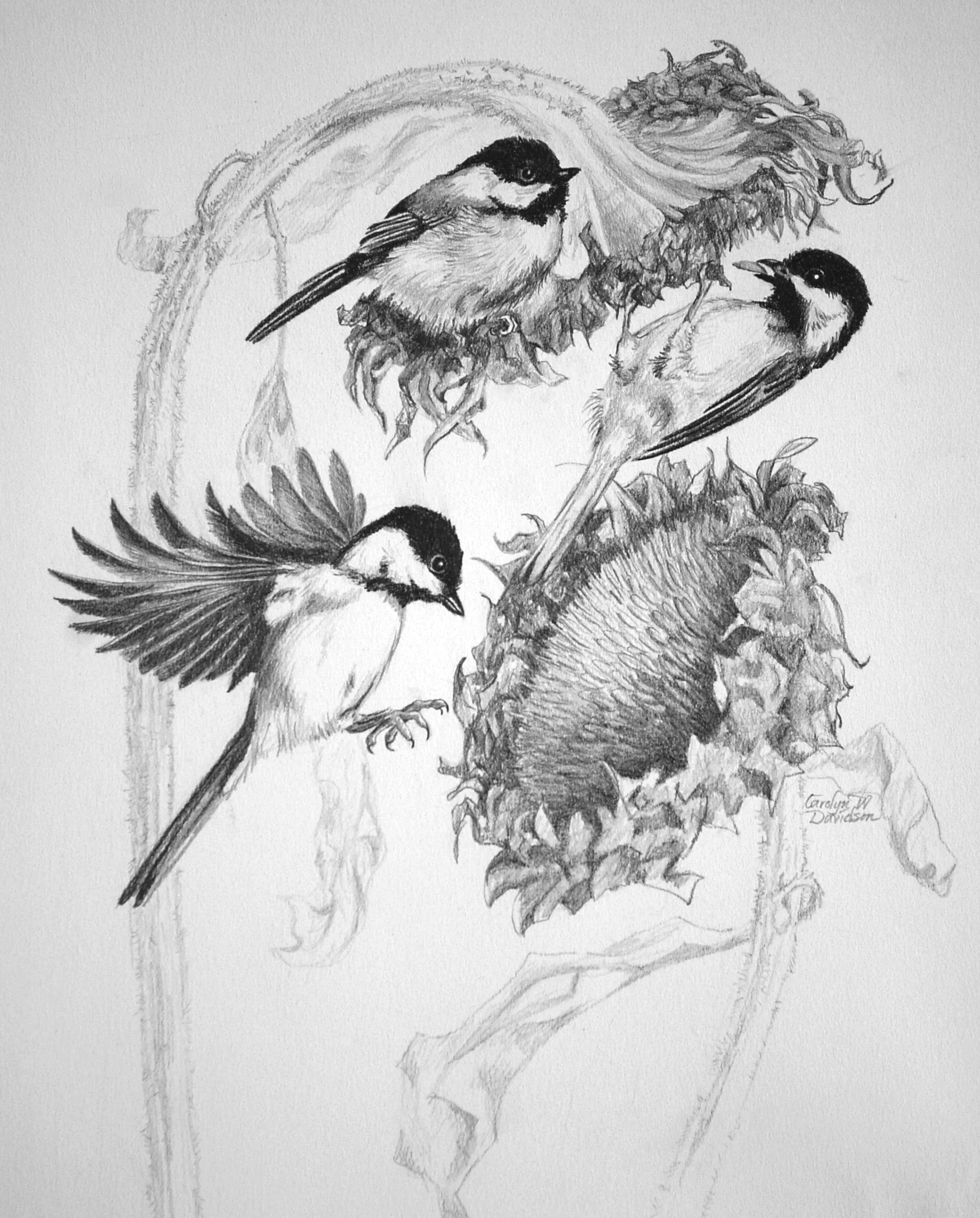 Winter Chickadees