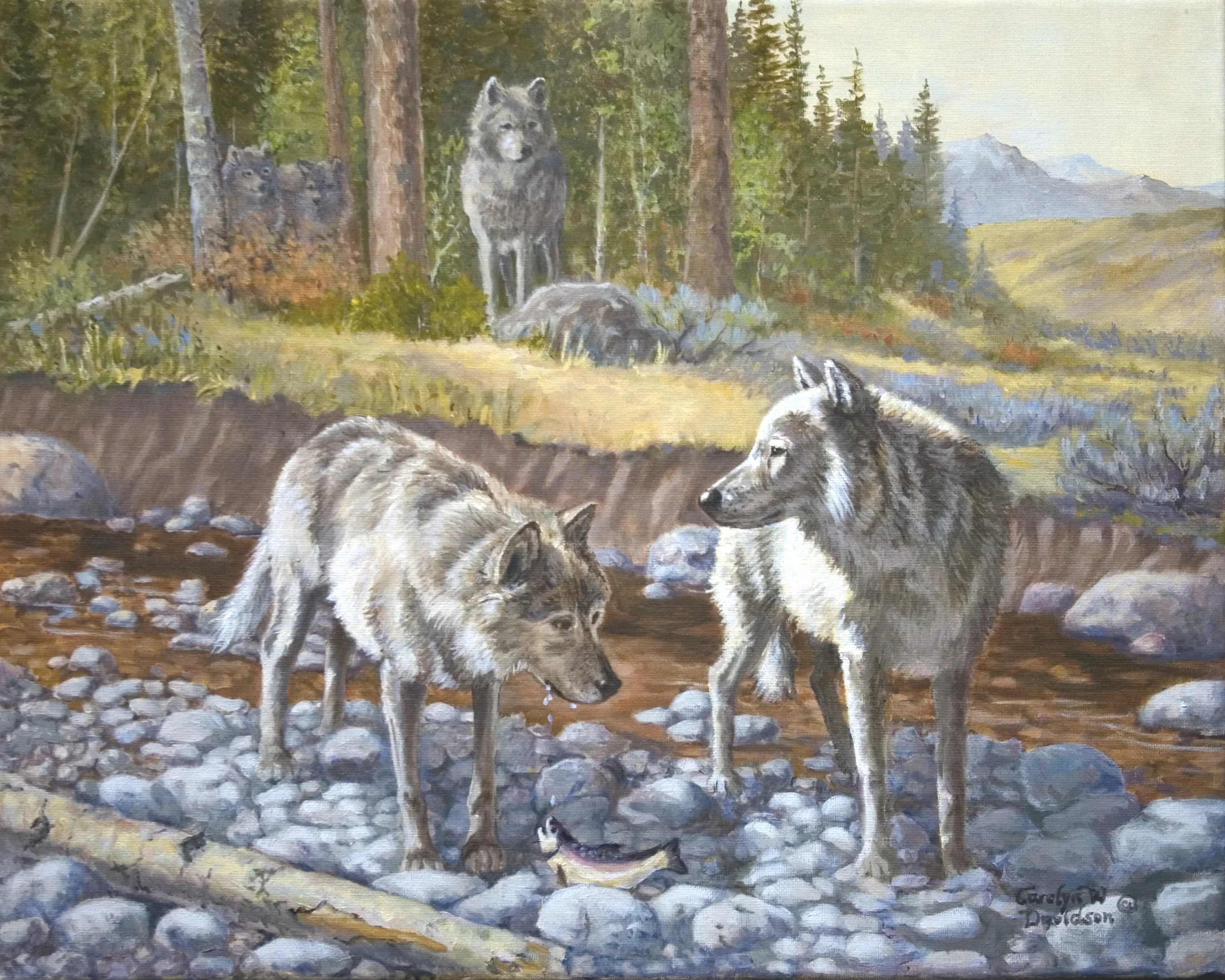 Wolves with a trout