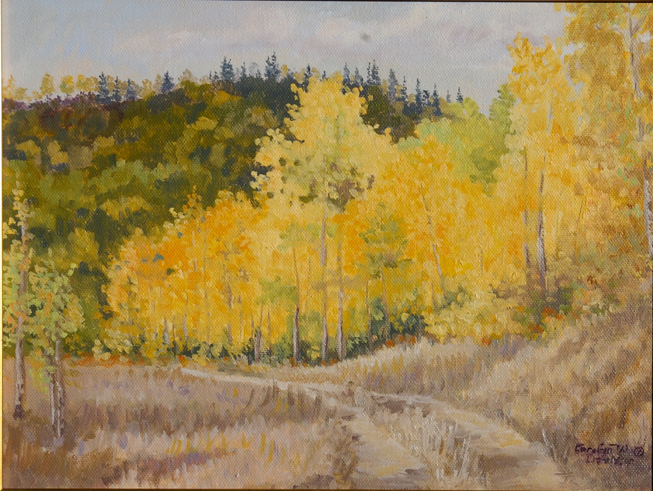Fall Quaking Aspens