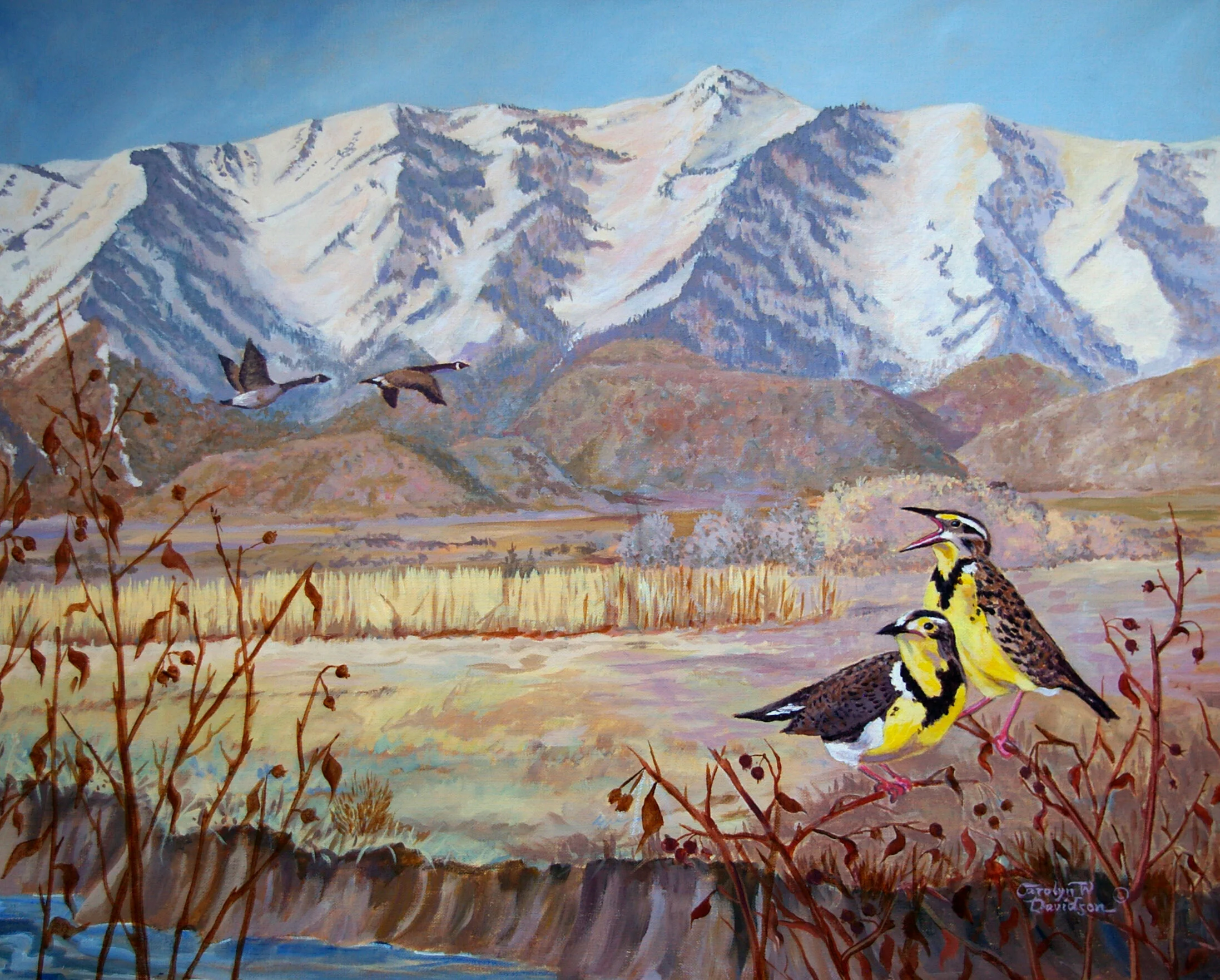 Early Spring Fly-Over