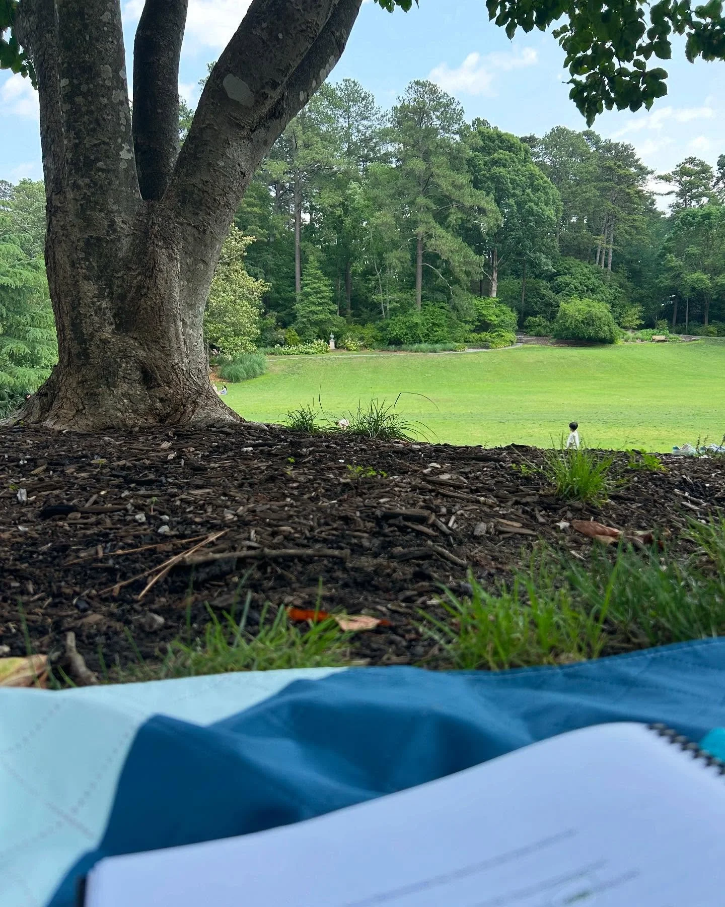 Not much sewing happening this month -  I spent May on Book 2 edits, taking a sewing break to stew in anxiety (very bad idea) and then an another to revise (very good idea.) If my book were a quilt, I’m squaring it up (chopping away at my word