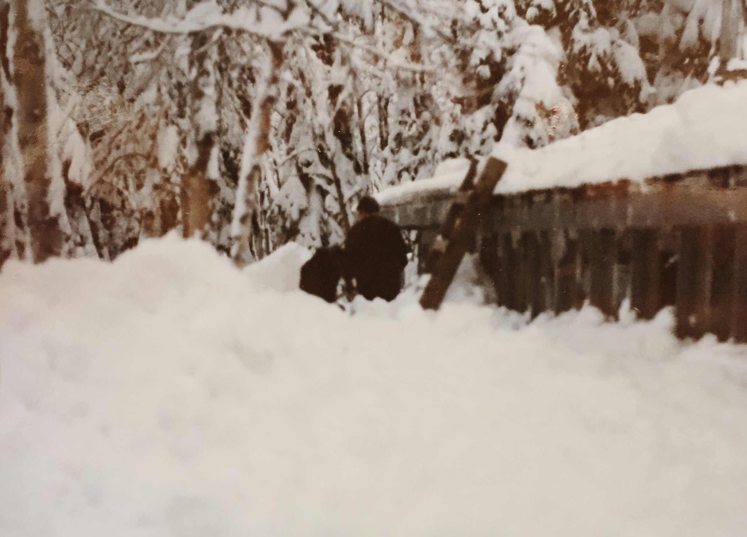 fig. 3 Snow, people, ladder, roof. Get it?