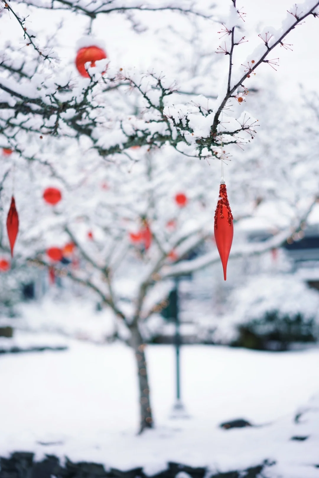 WTF Happened to the Last Year