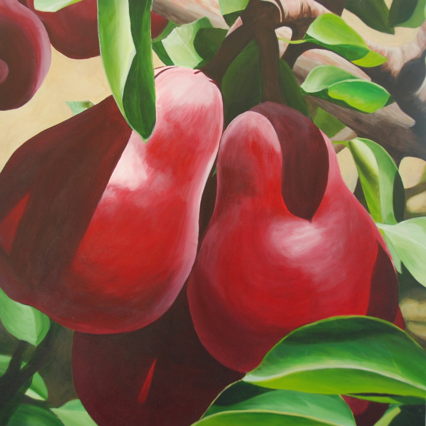 "Red Pears"