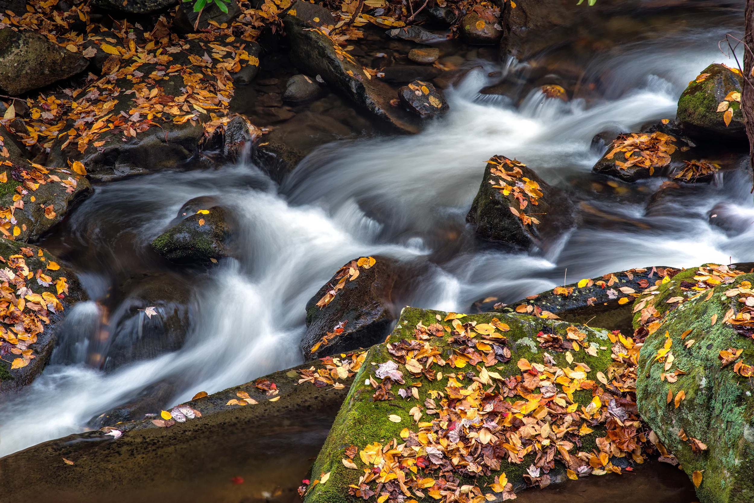 Waterfall.jpg