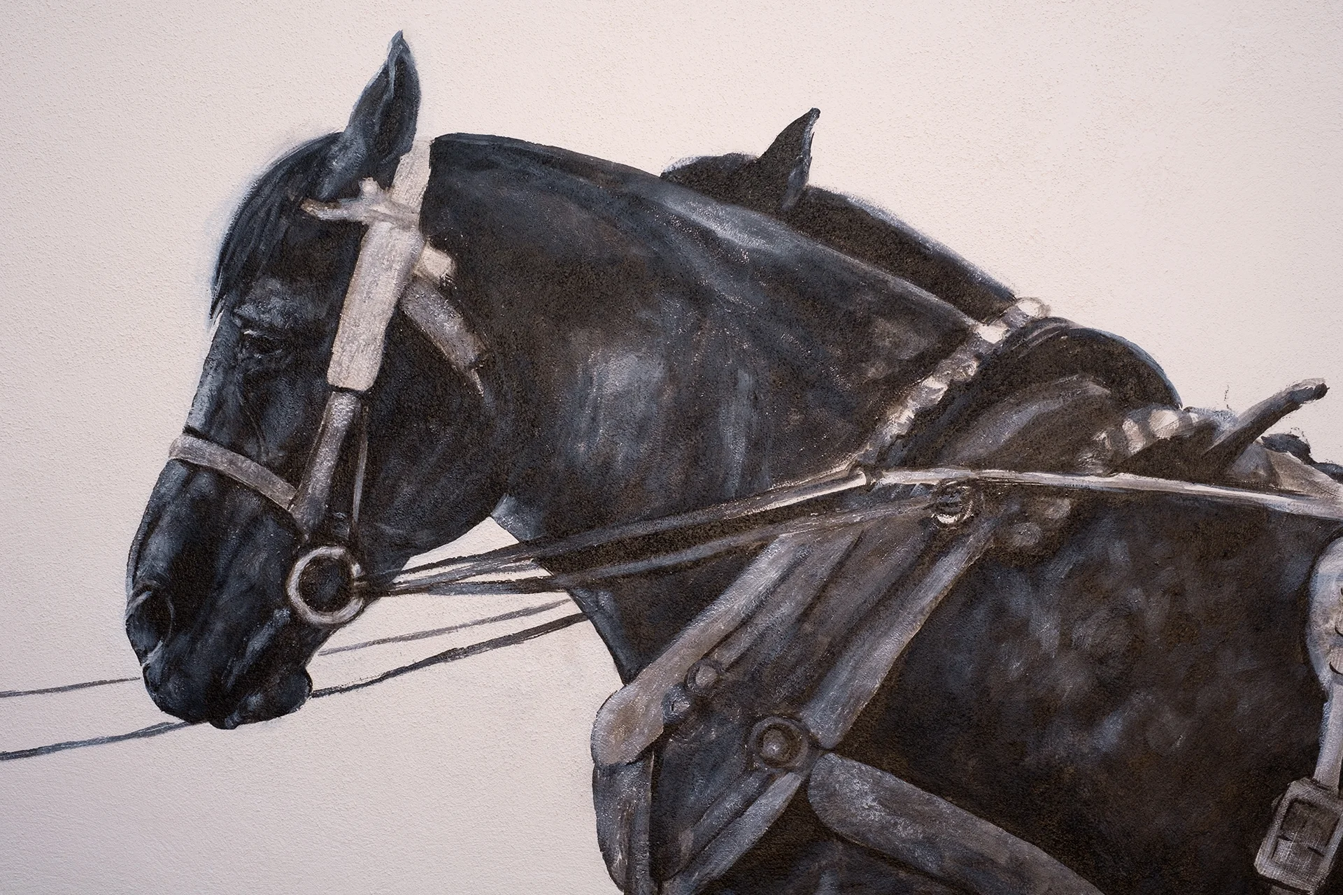 Detail shots of horses