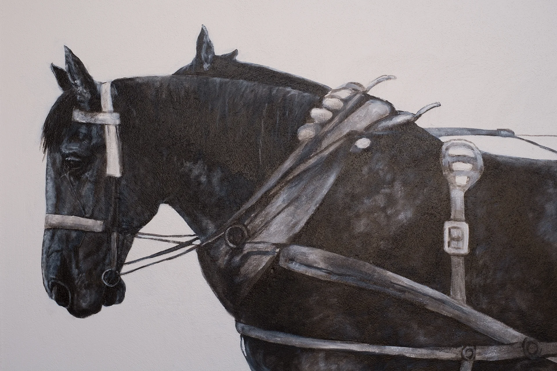 Horse detail #1