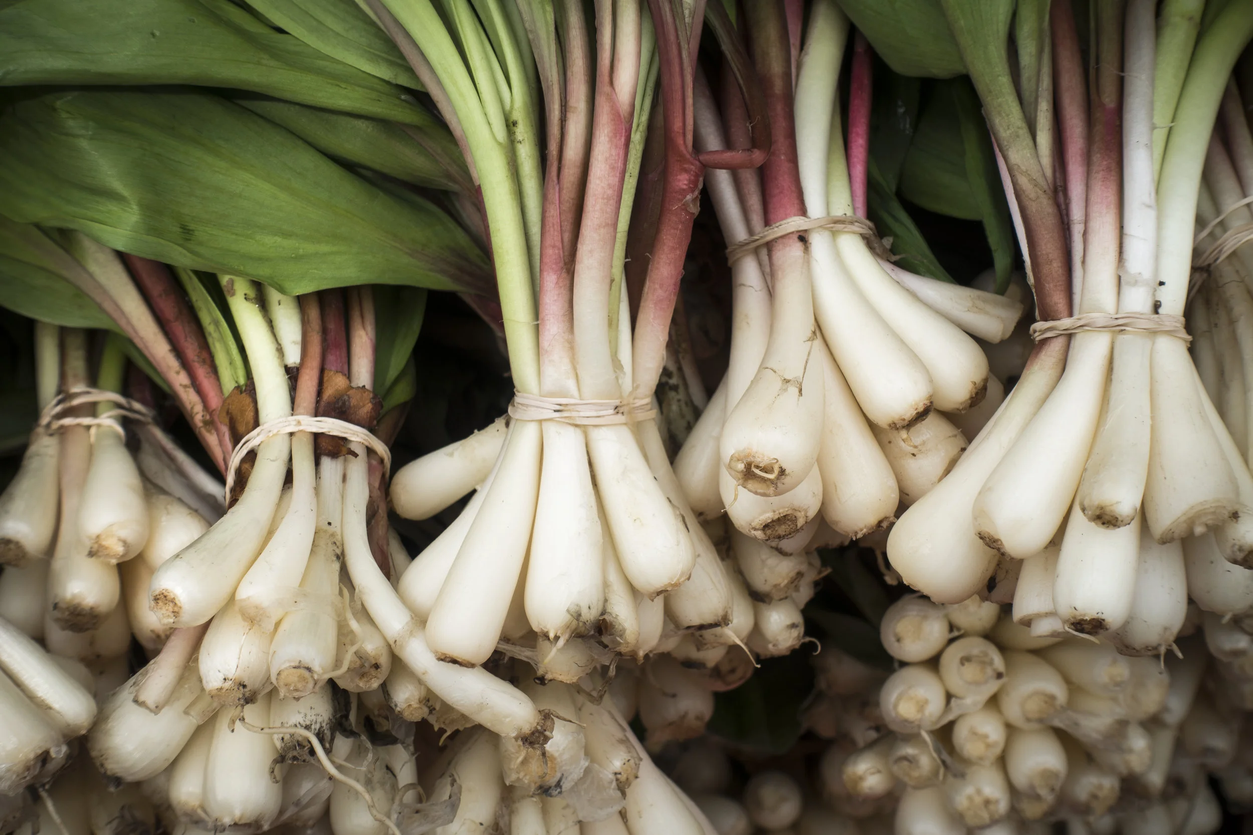 shutterstock_638494309.jpg