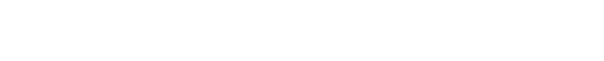 AmirDanielle_Logo_White.png
