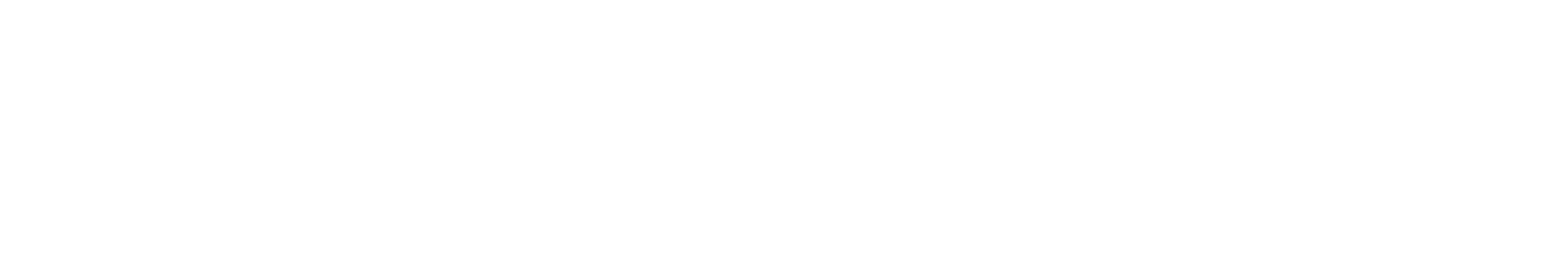 AmirDanielle_Watermark.png