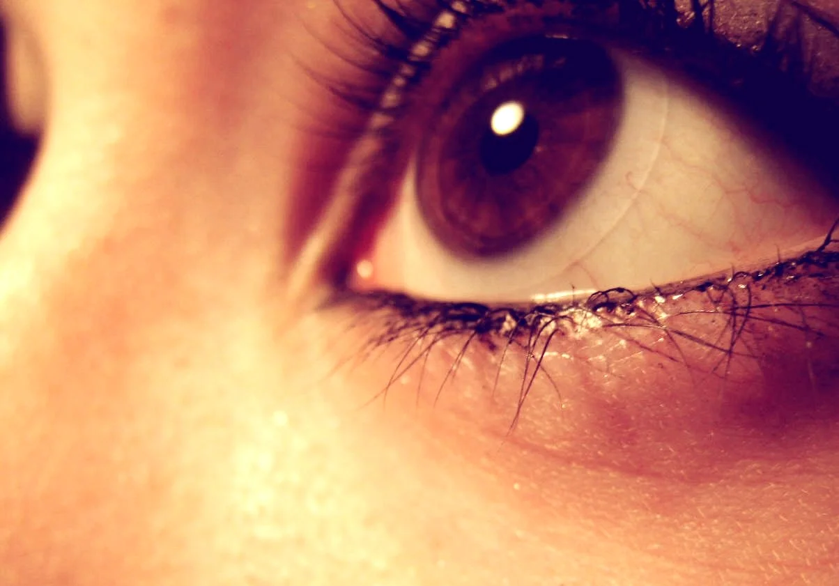 Verres de contact