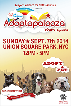 Mayor's Alliance Adopt-a-Palooza