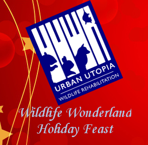 Urban Utopia: Wildlife Wonderland Holiday Feast