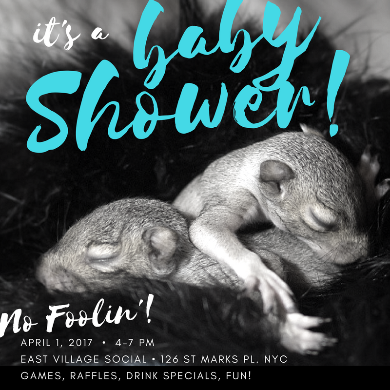 2017 Baby Shower