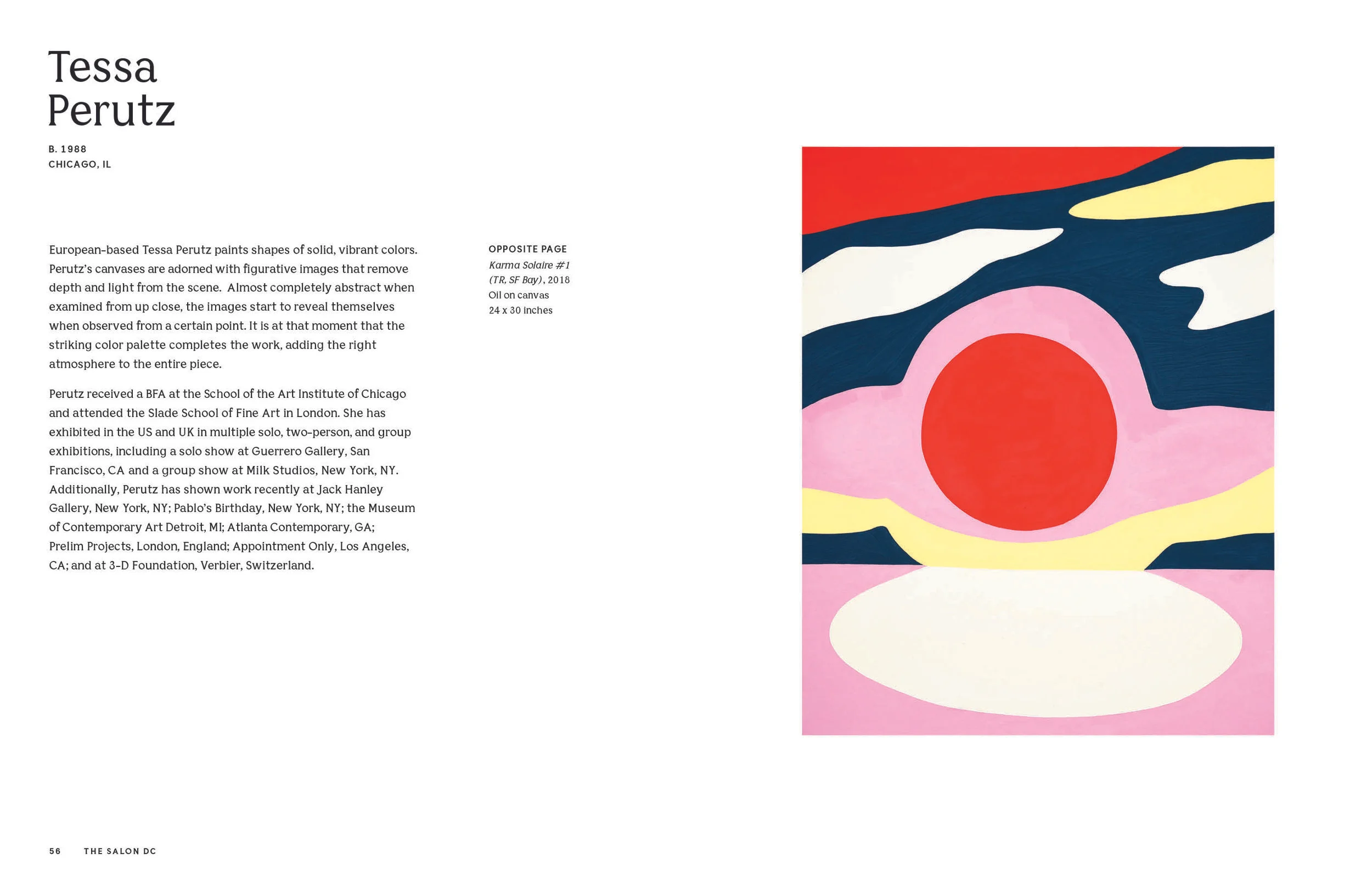 NSO_THE SALON_EXHIBITION_CATALOGUE_DC_MECH32.jpg