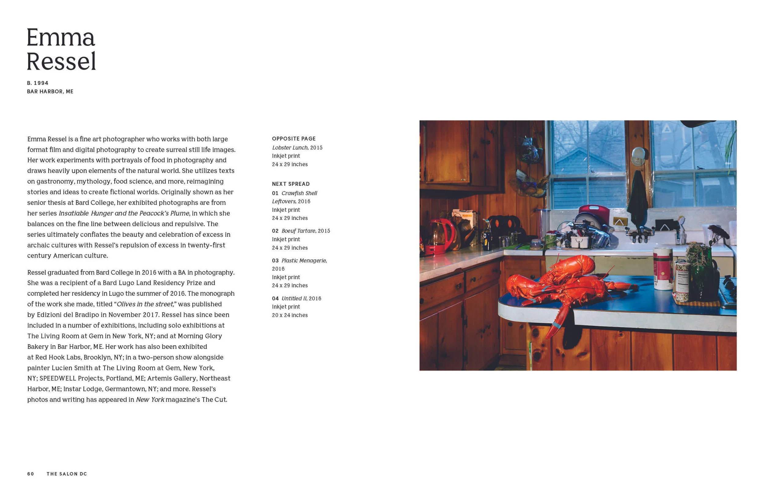 NSO_THE SALON_EXHIBITION_CATALOGUE_DC_MECH34.jpg
