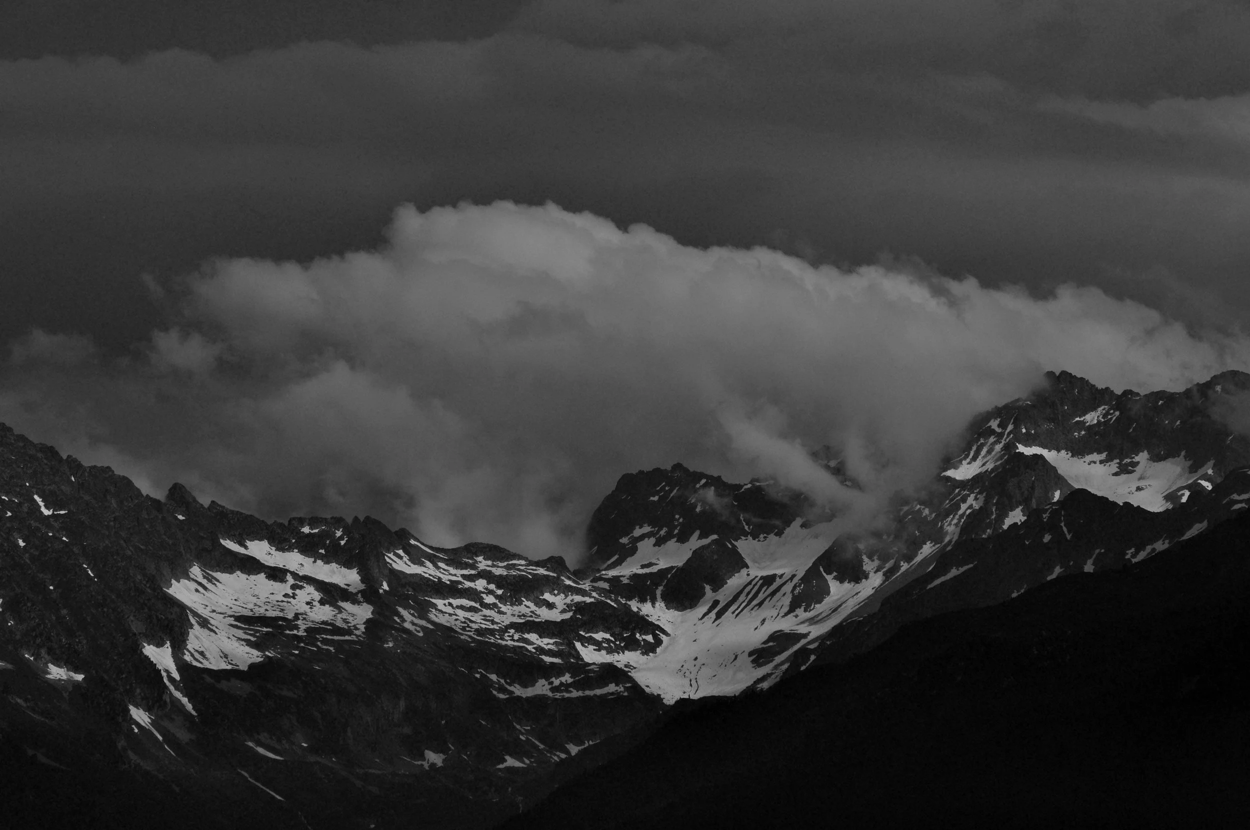 DSC_2719 editbw copy.jpg