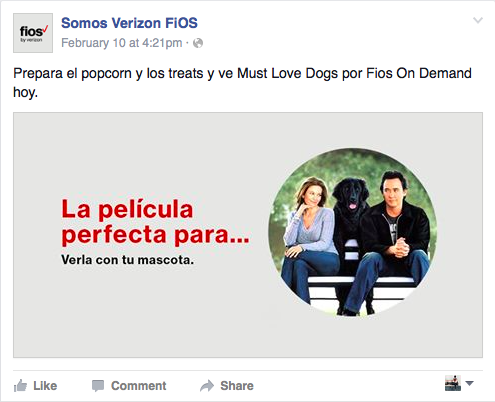 Copy Translation: Get the popcorn and the treats ready and watch Must Love Dogs on Fios On Demand today. IN IMG Translation: The perfect movie for... Watching with your pet. 