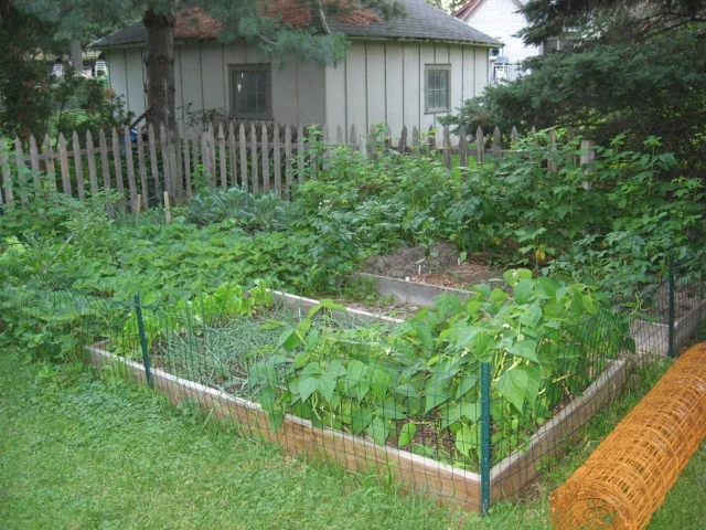 The Plantation
