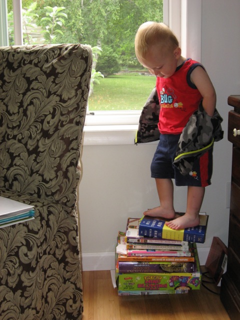 Pile o' Books