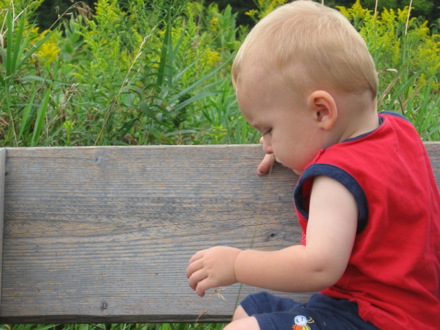 Bench in Goldenrod