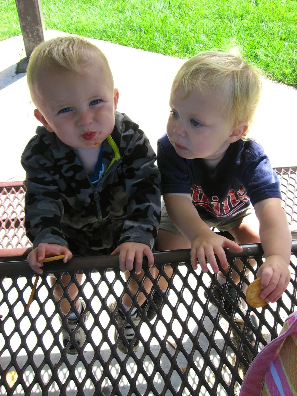 Toddler Buds