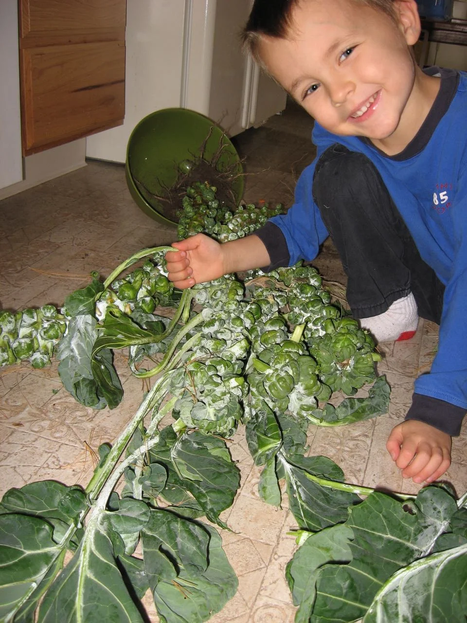 Brussels sprouts time