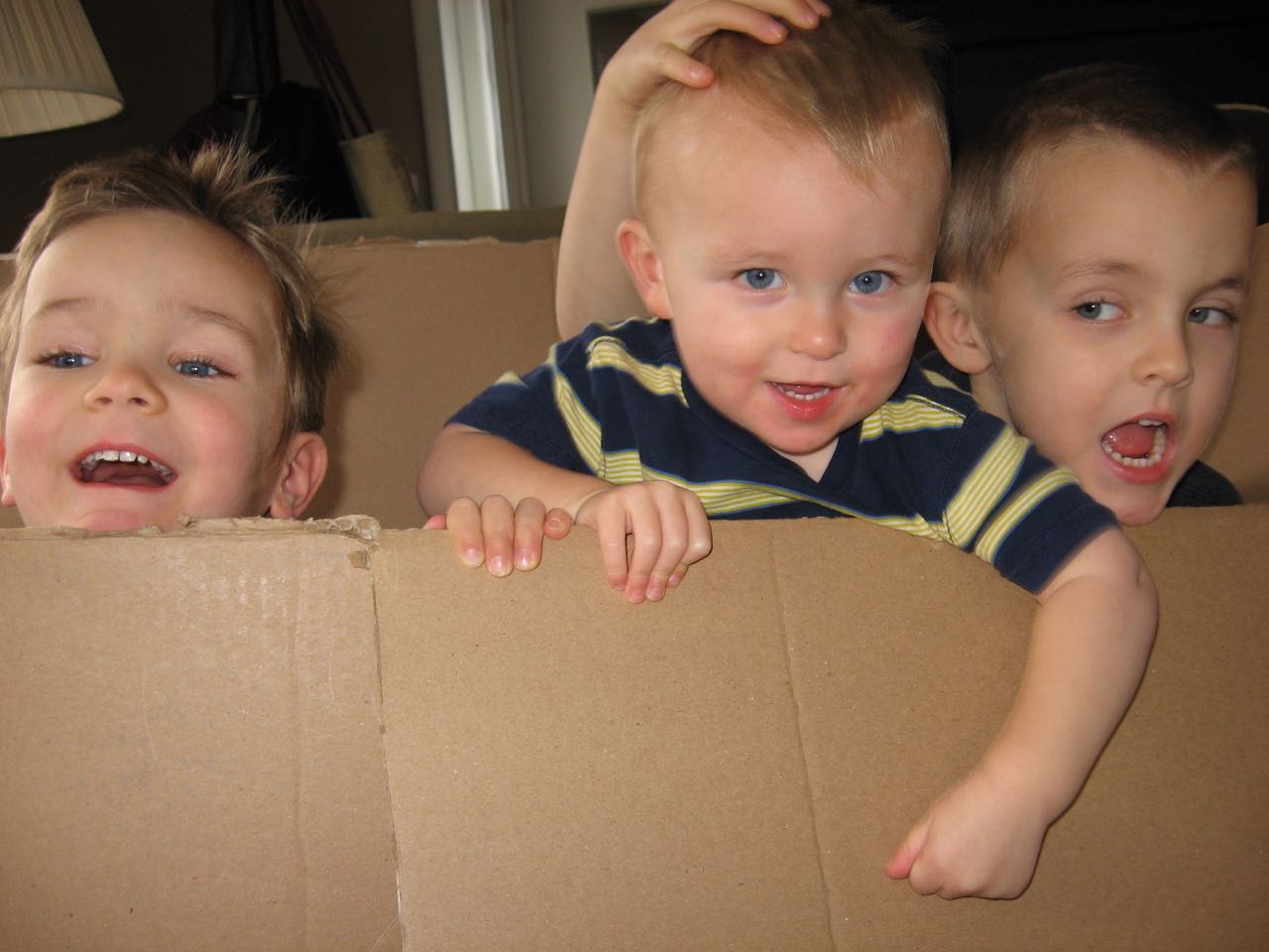 Box Boys IV