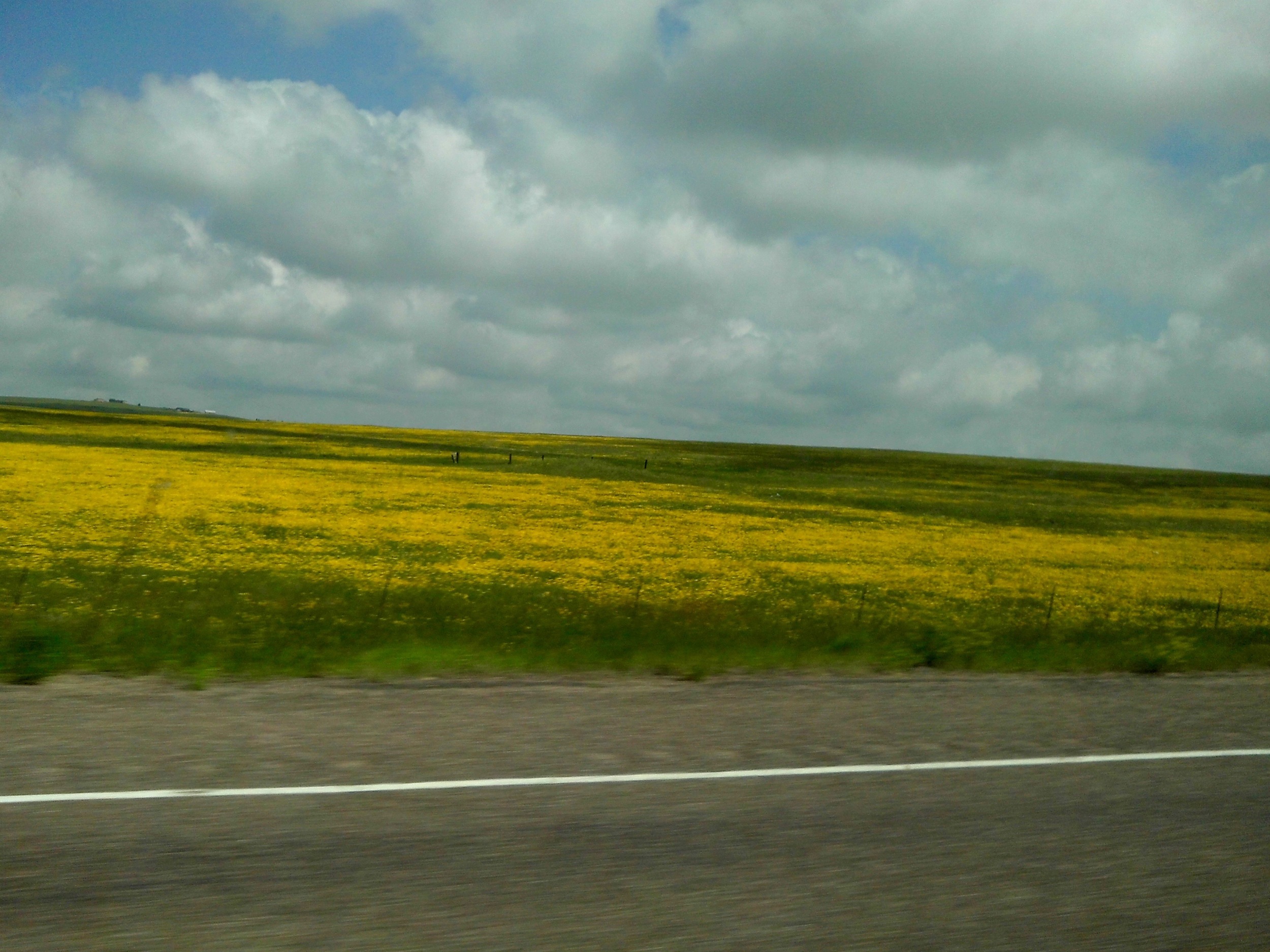 Nebraska Fields of Gold