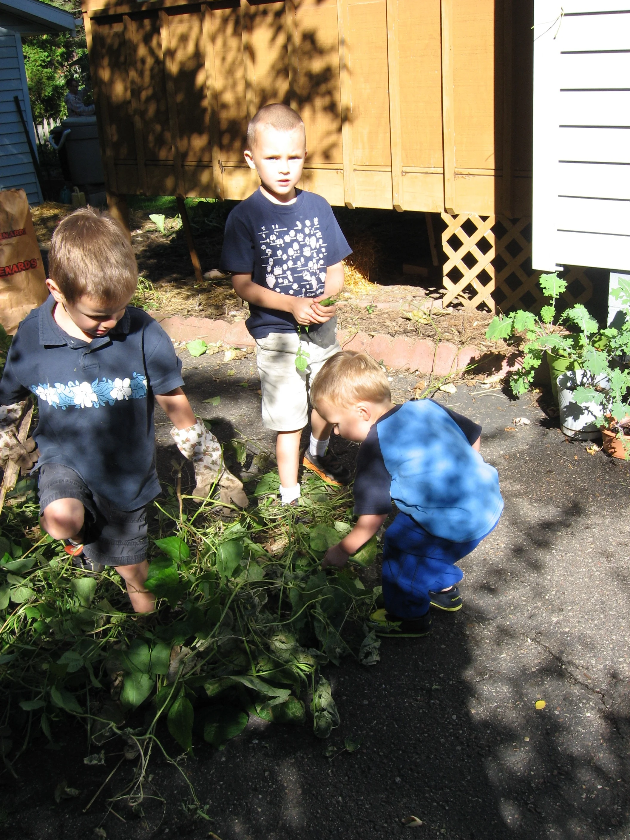 Deconstructing the garden