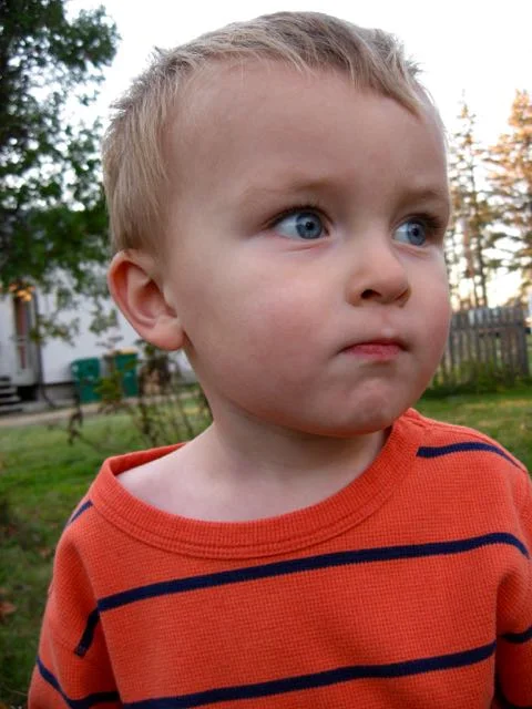 Tad Observes