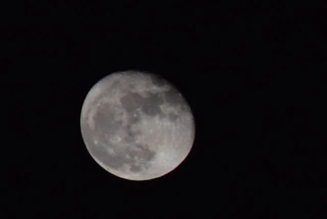 Moon Capture