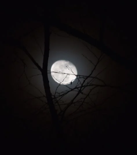 Another Night, Another Moon