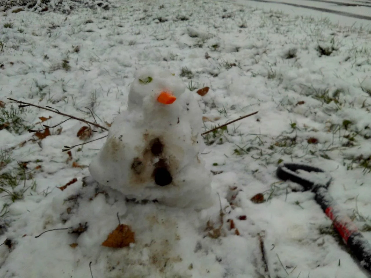 Micah's Snowman (MJD)