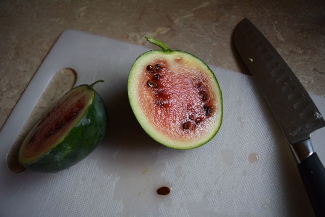 We grew a watermelon.