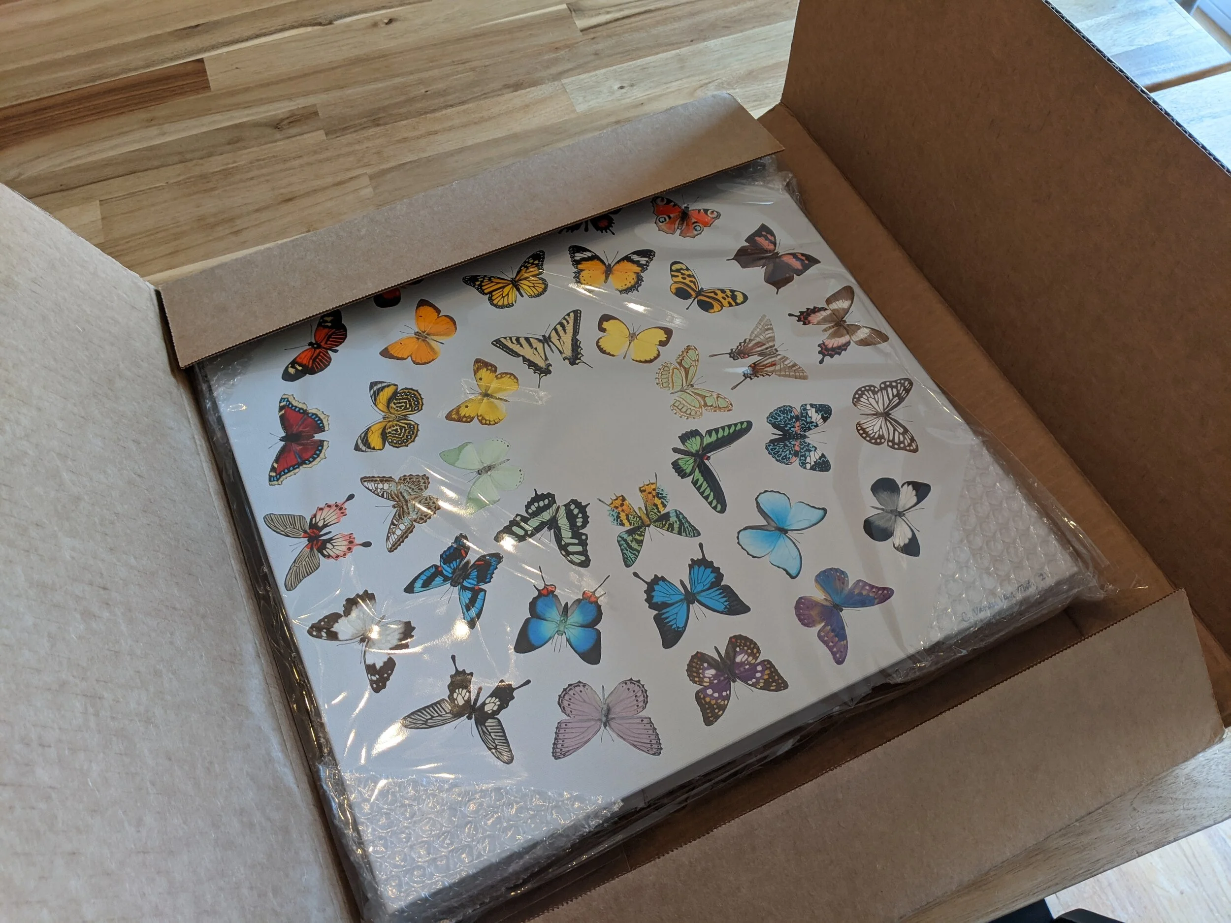 Diversity in box.jpg