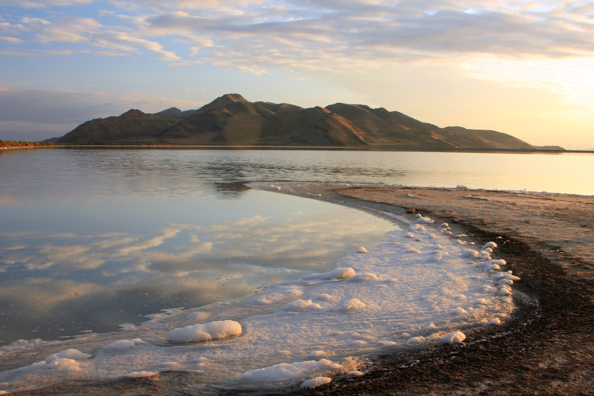 Bus tour to Great Salt Lake