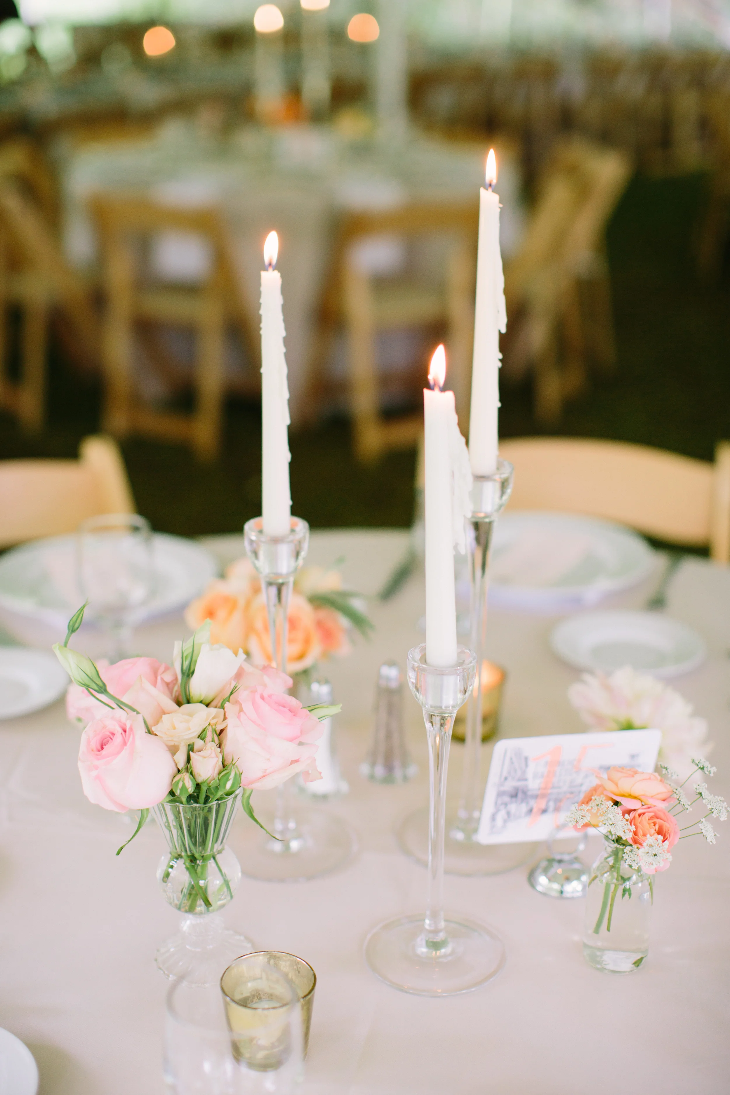 photo: mary dougherty photography